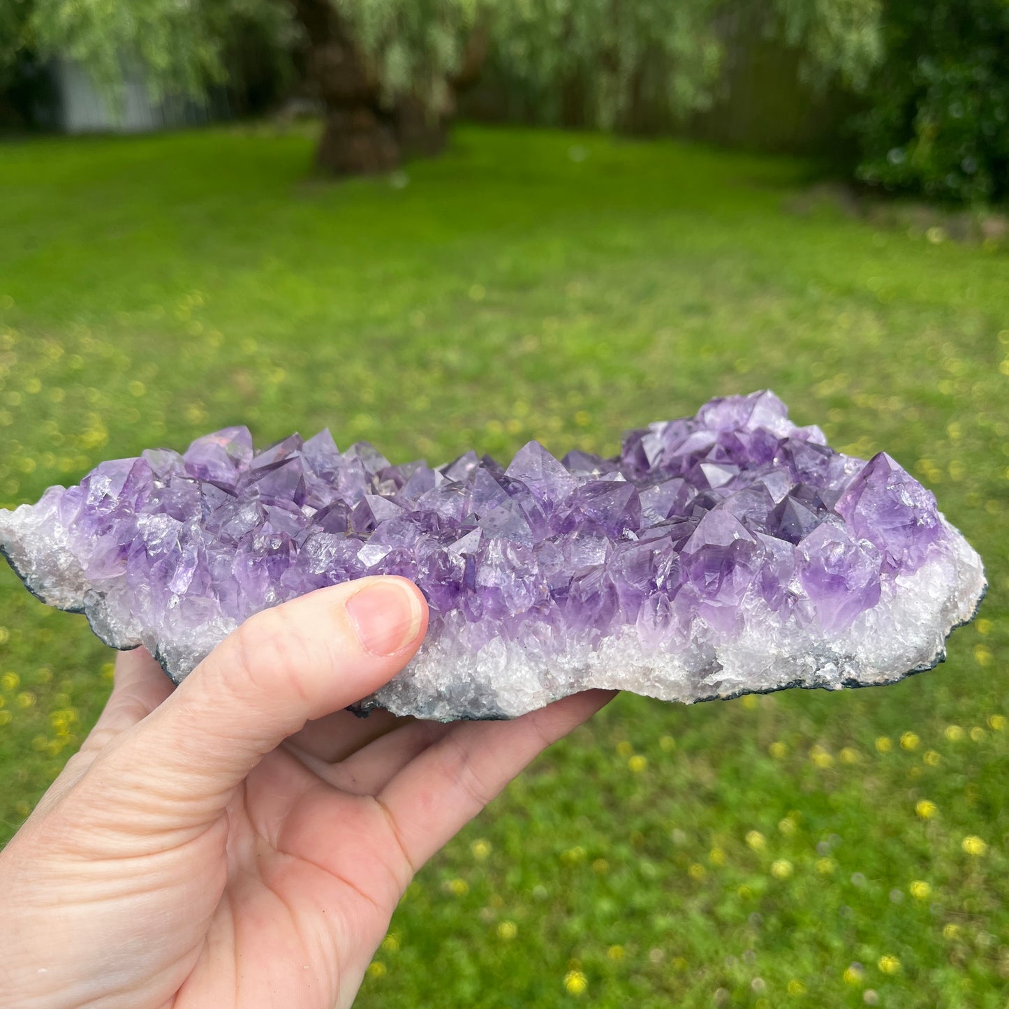 Amethyst Crystal Cluster - 1.28kg