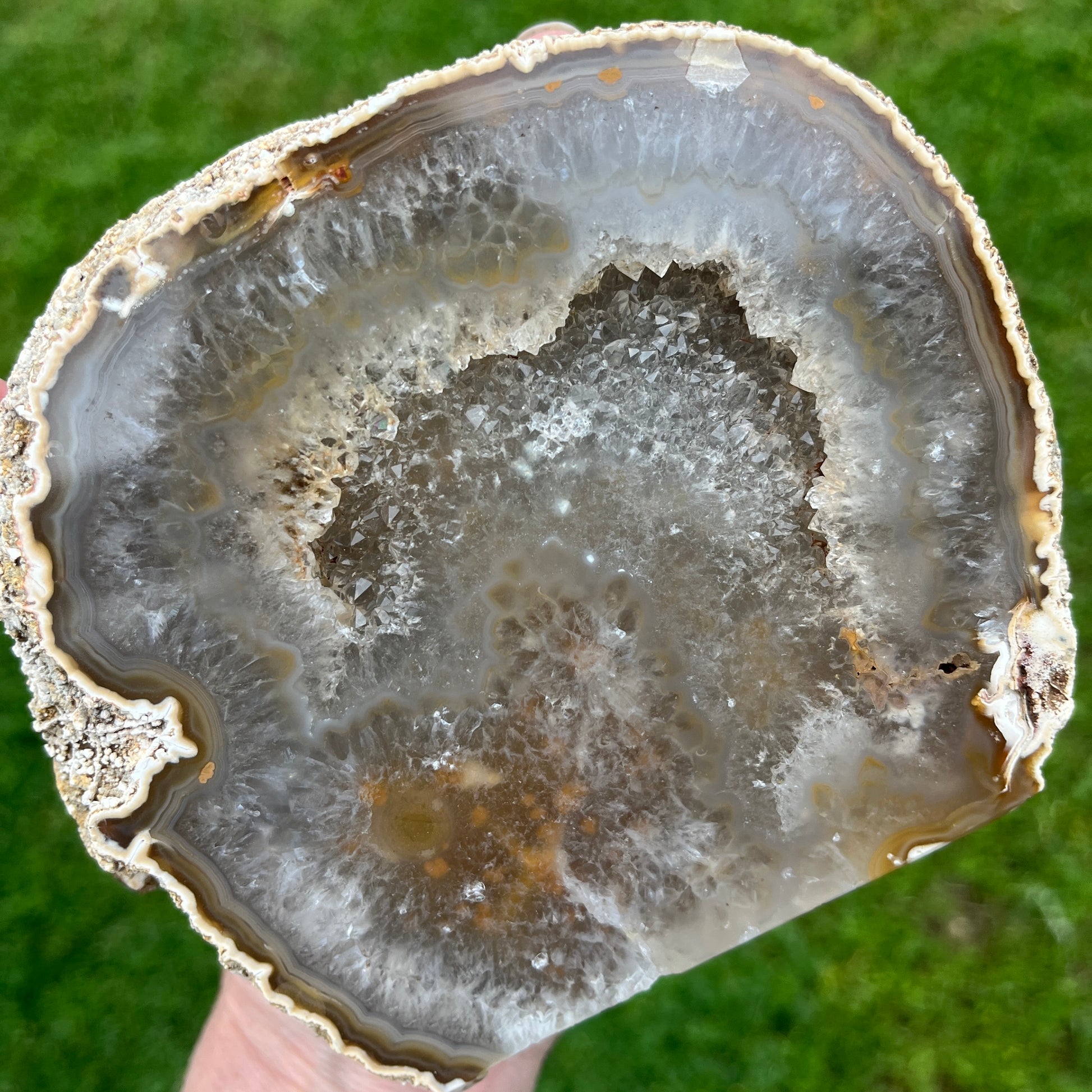 Close-up of a geode with a natural pattern against a green background