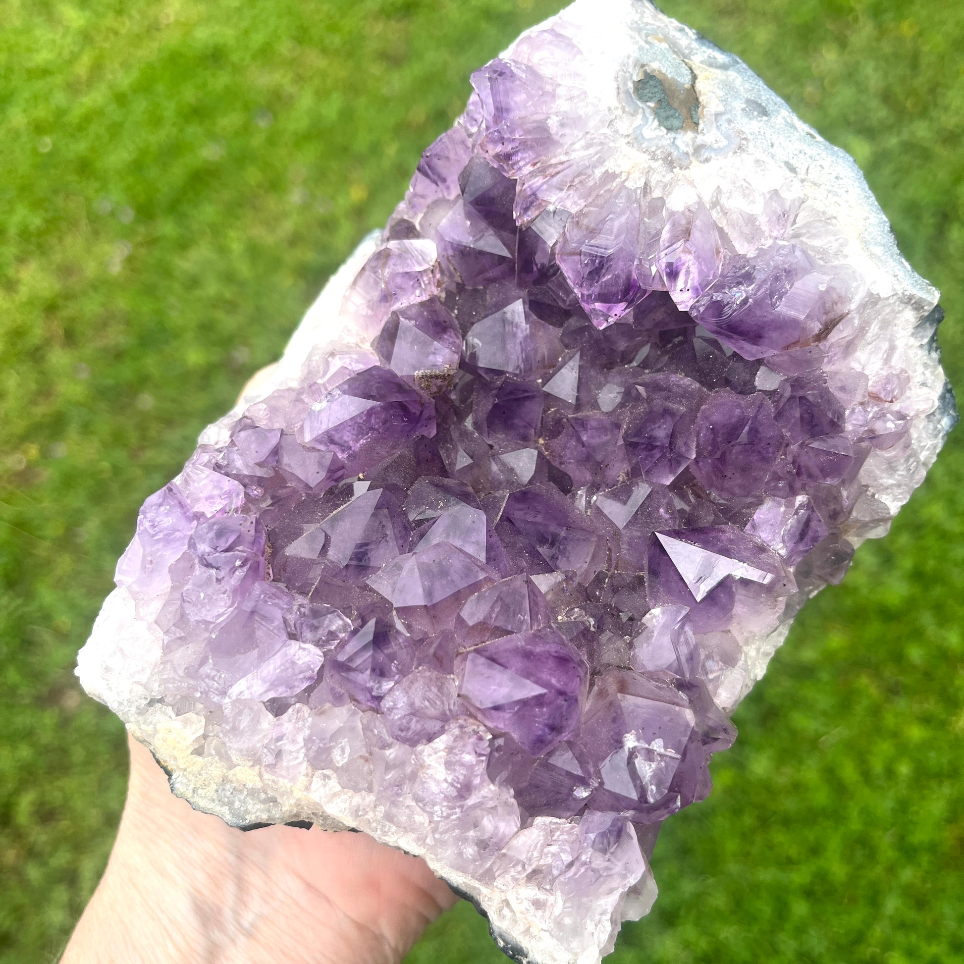 Amethyst crystal cluster held against a green grass background