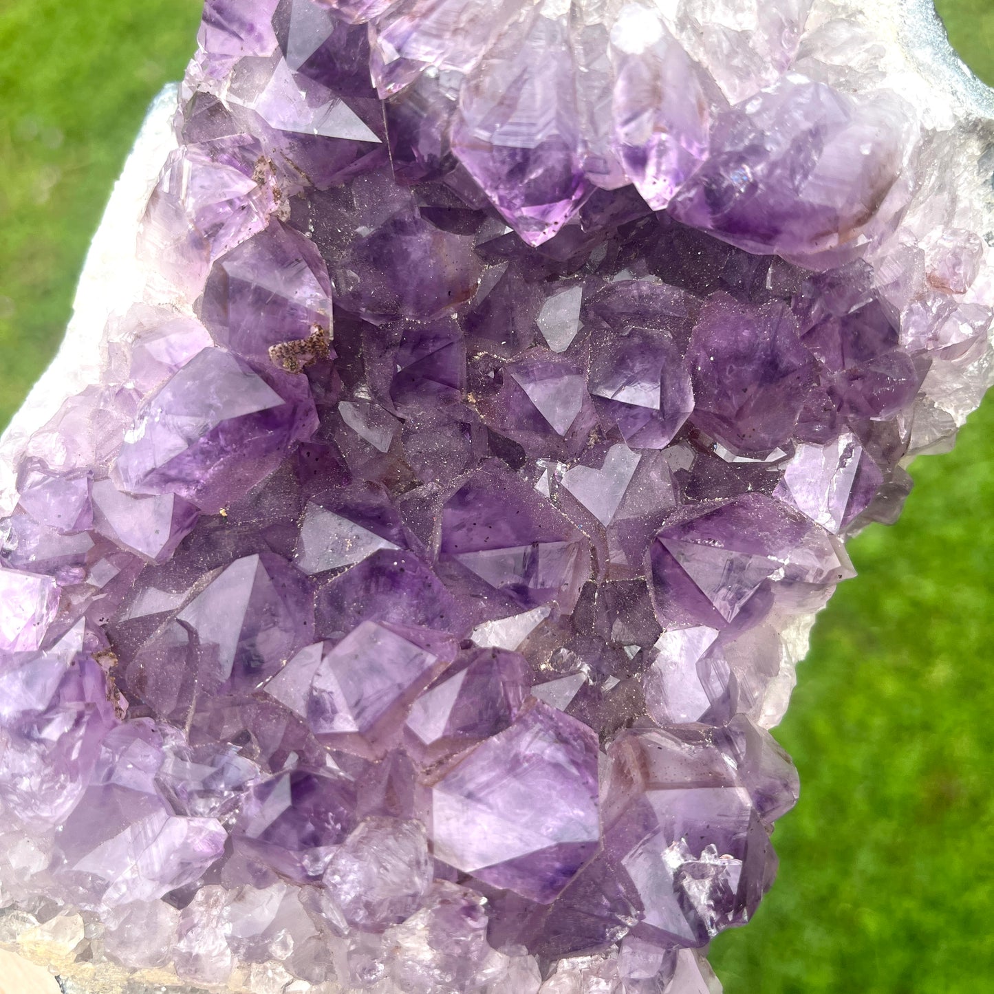 Close-up of purple crystal formation on a green background