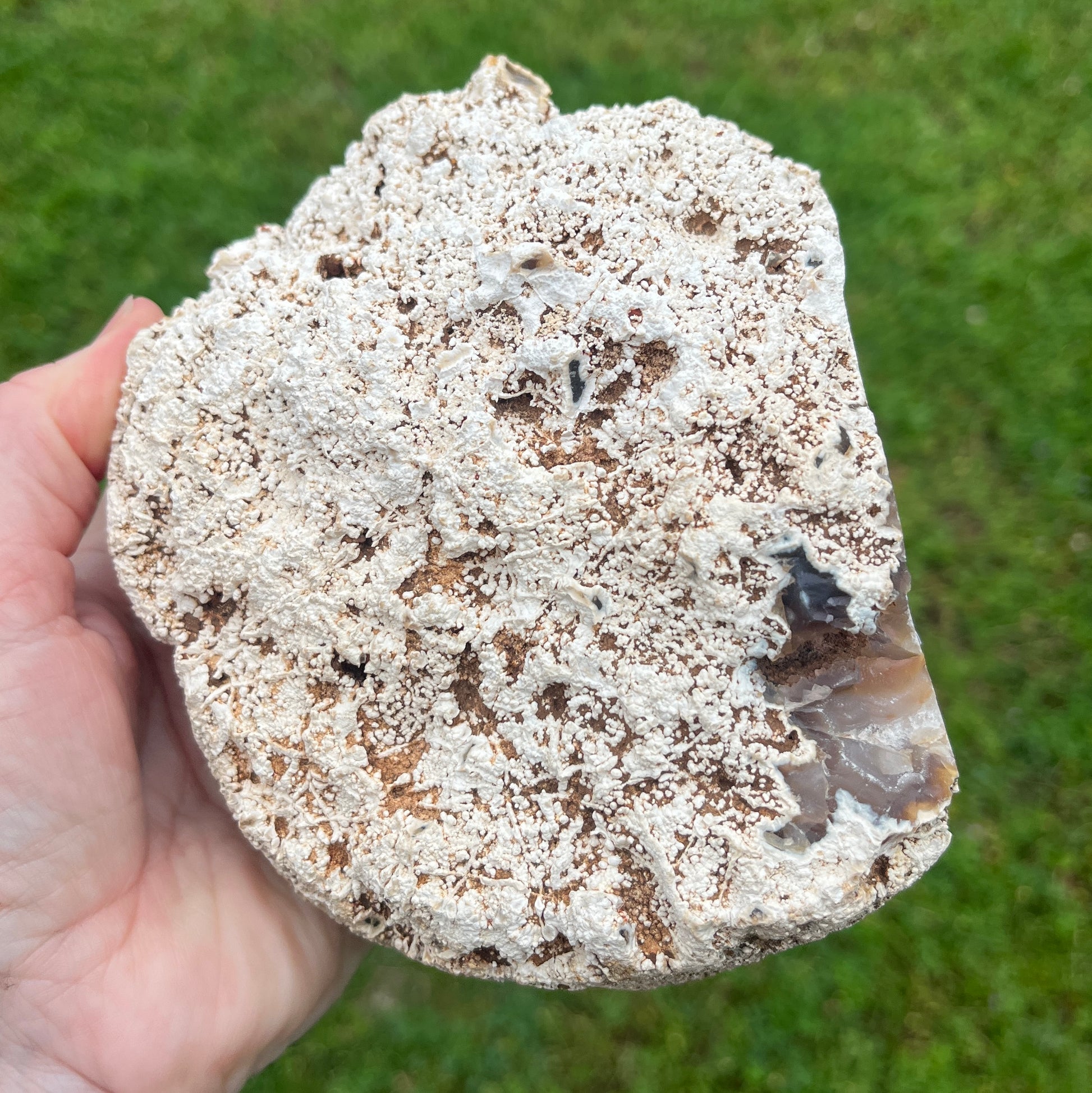 Hand holding a rough-textured agate against a grassy background