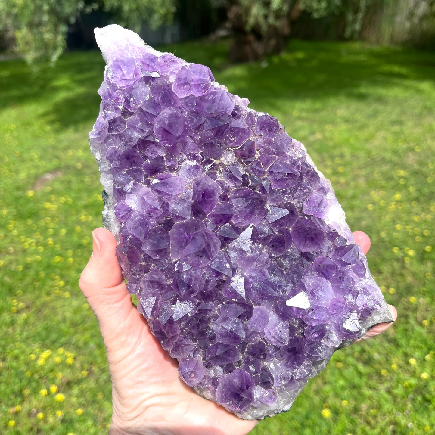 Amethyst Crystal Cluster - 1.28kg