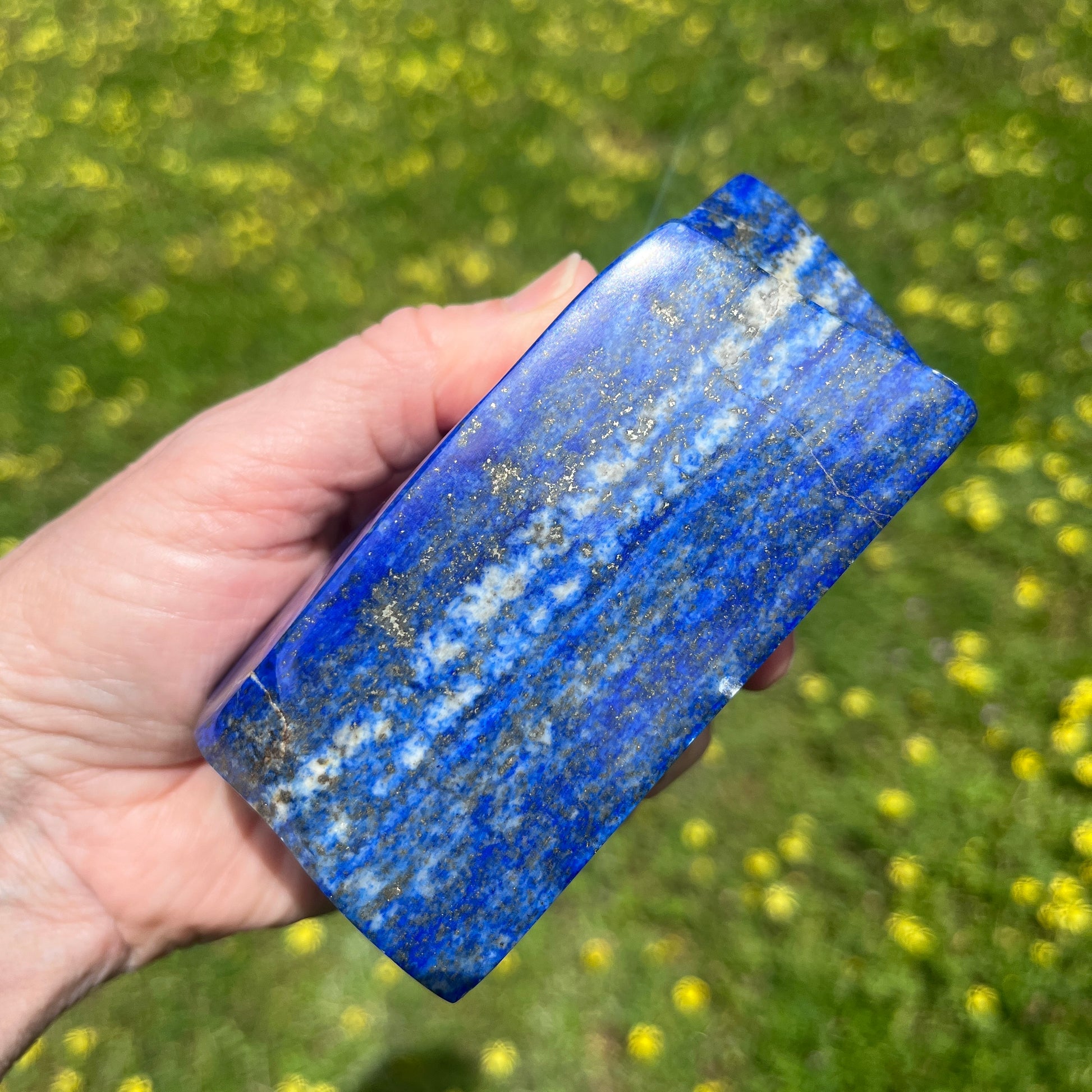 Hand holding a blue lapis lazuli chunk with a blurred green background