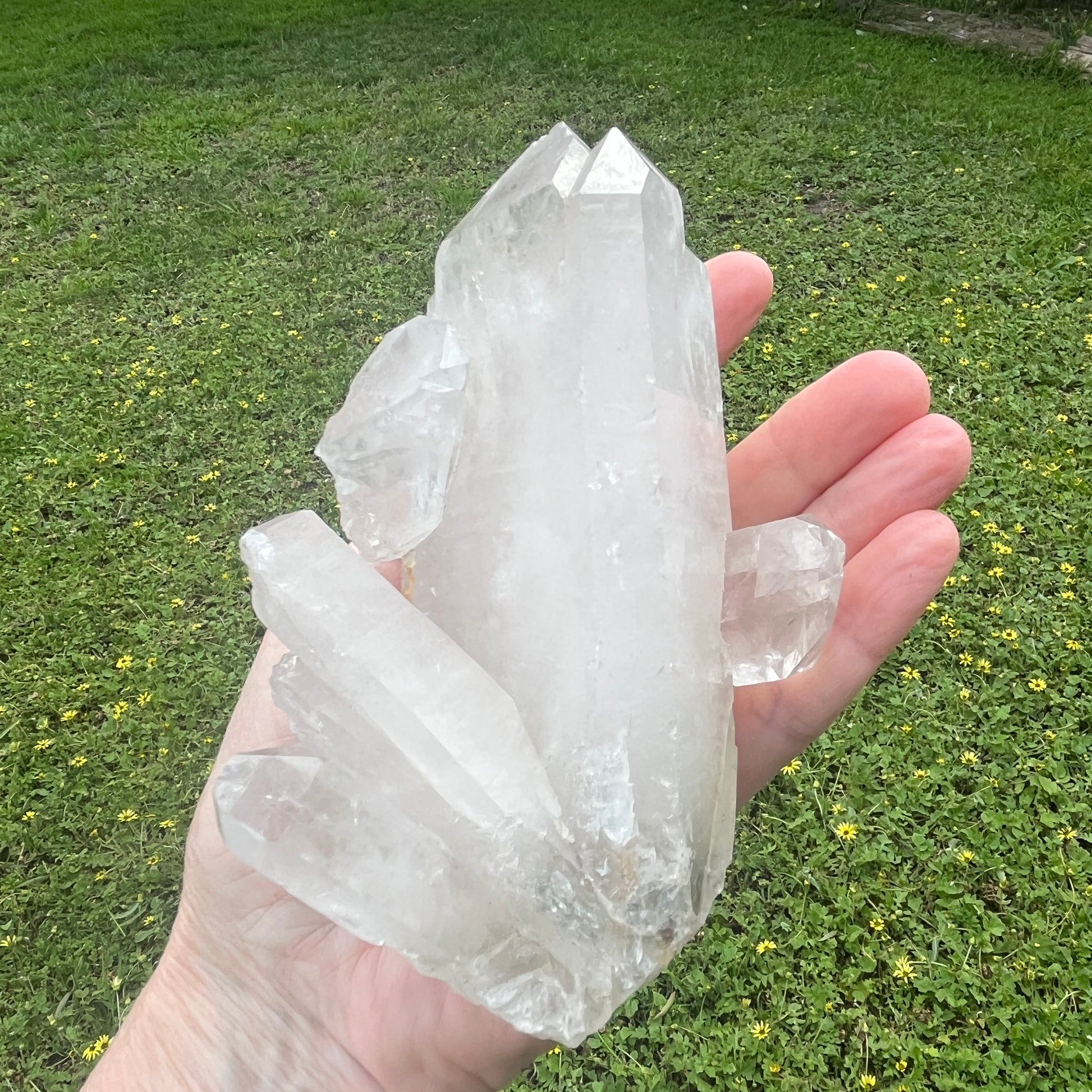 Clear crystal formation held in a hand against a grassy background