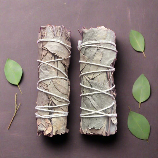 Eucalyptus smudge sticks