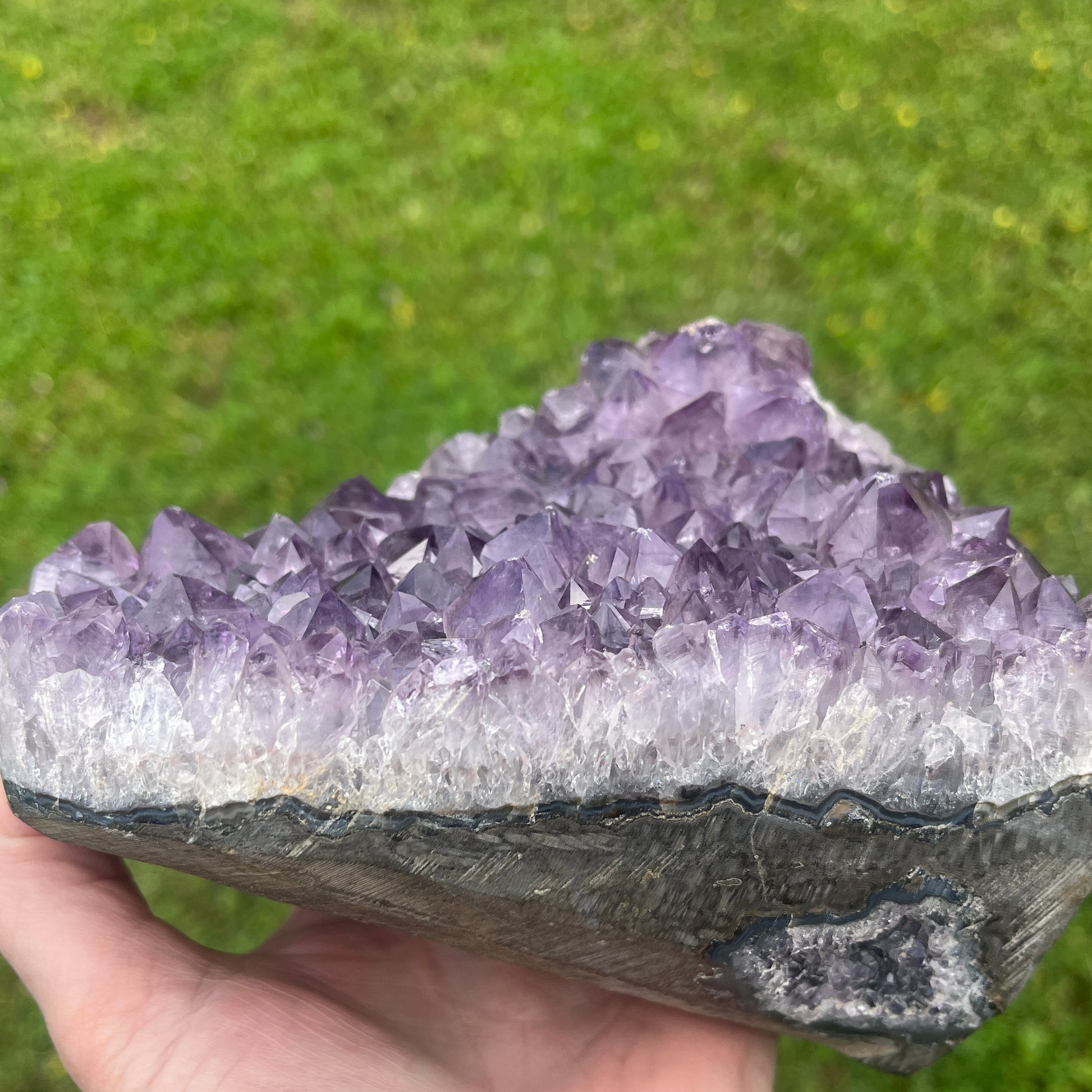 Amethyst crystal cluster held by a hand with a green grass background