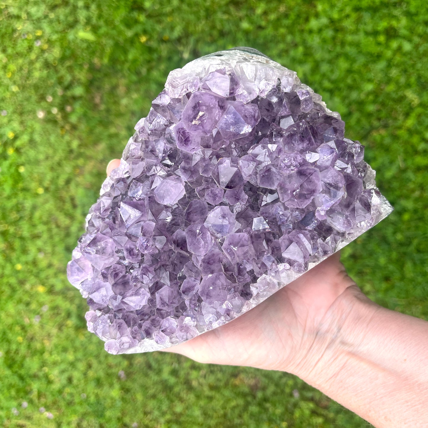 Hand holding a large amethyst crystal against a grassy background