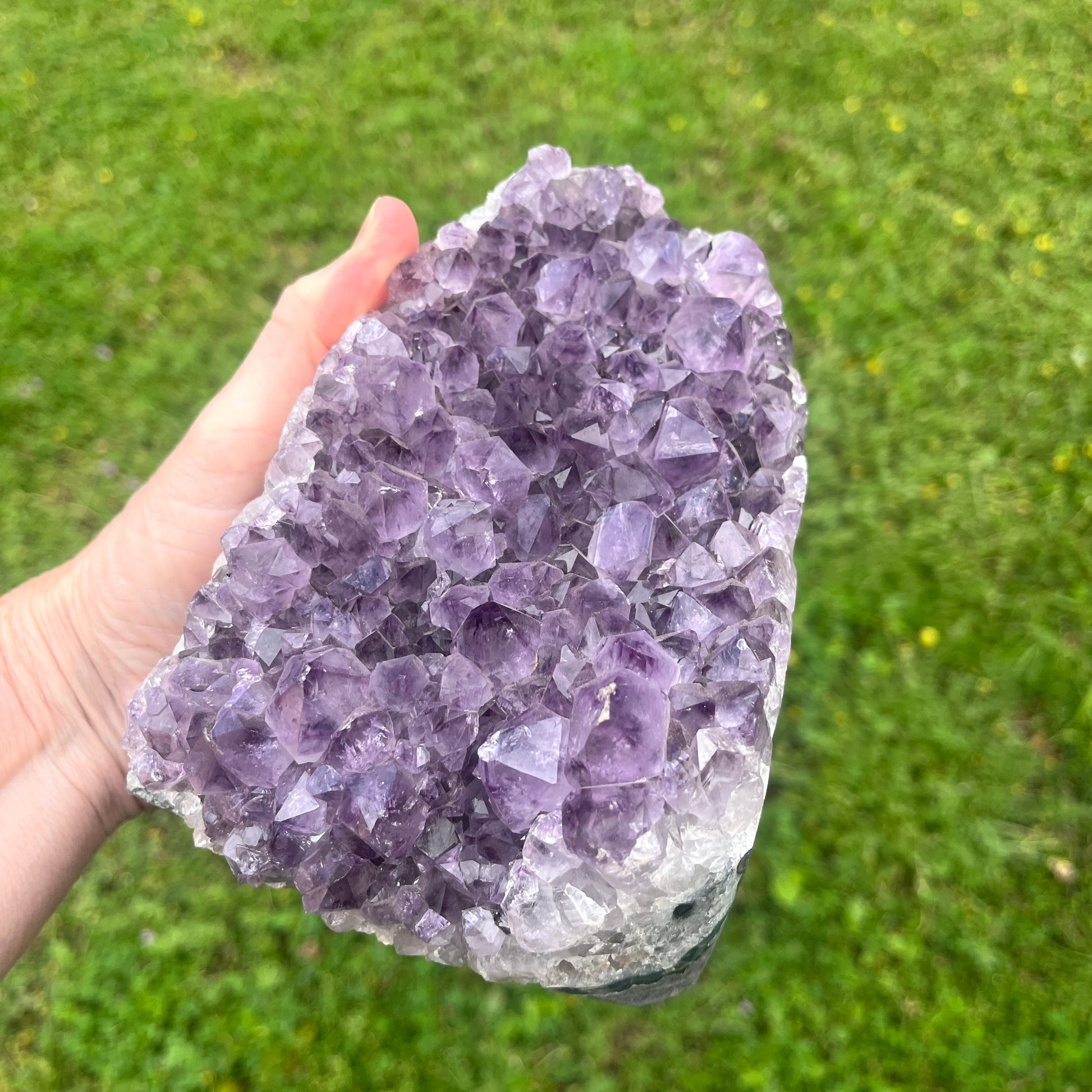 Hand holding a large amethyst crystal against a grassy background
