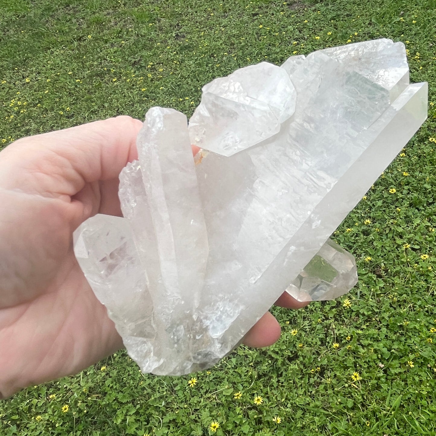 Clear Quartz Cluster - Natural Crystal - 623gm