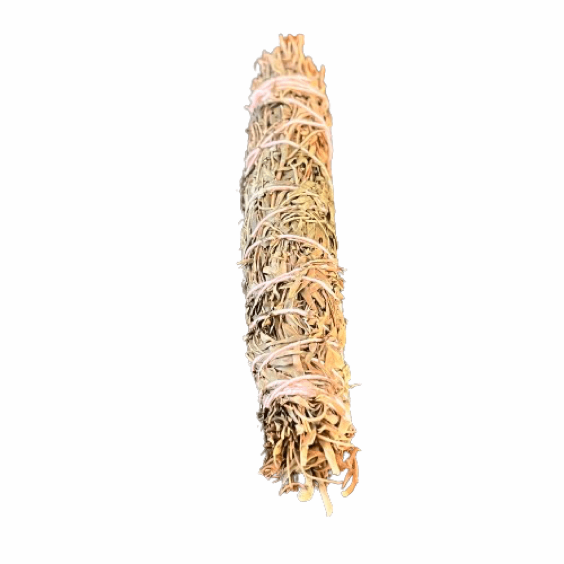 Native Australia Tree Fern Blend Smudge Stick