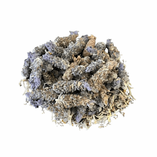 sacred herb lavender