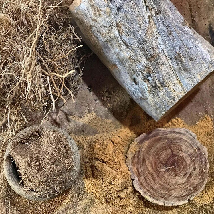 Australian Vetiver and Sandalwood Incense (Presence) – Tribe Earth