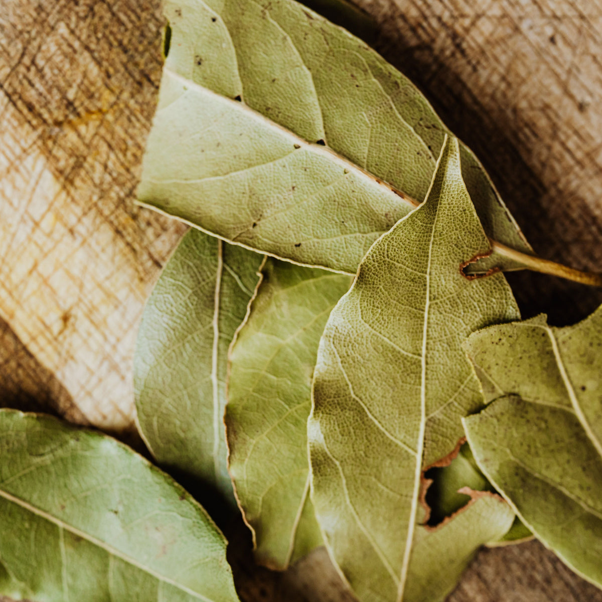 Bay Leaf - Sacred Herb