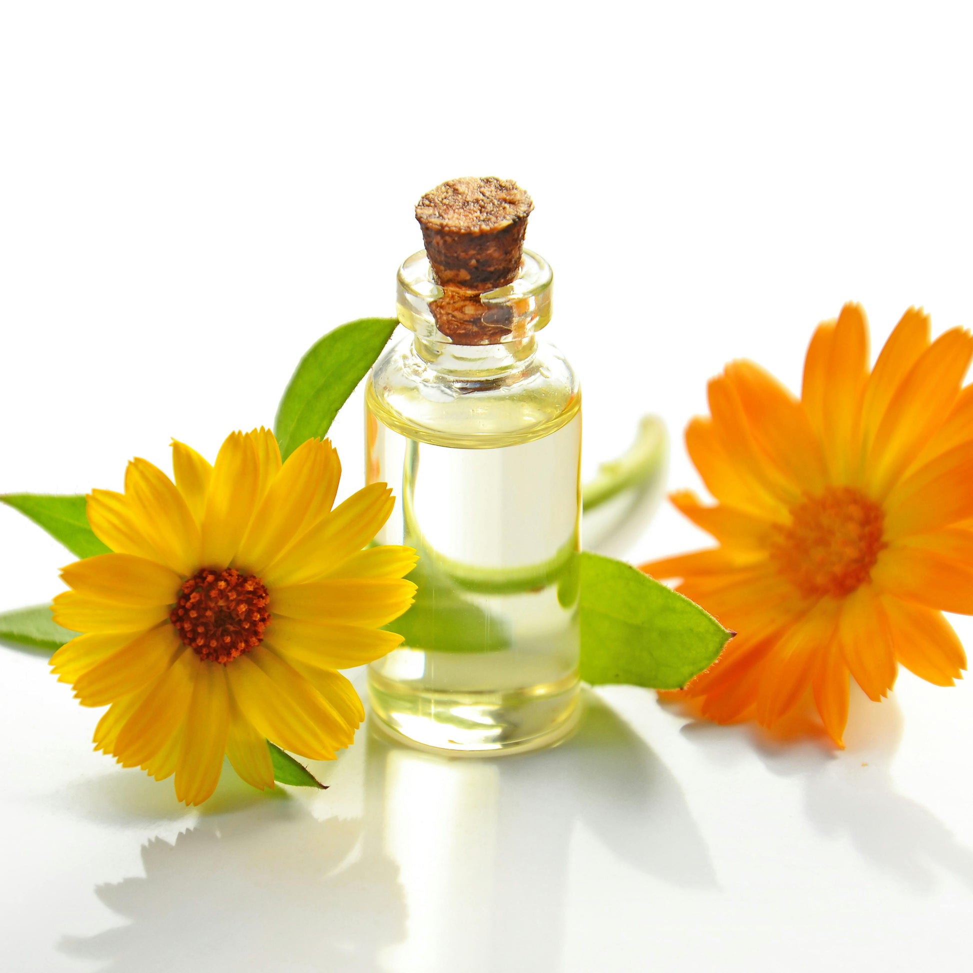essential oil oracle