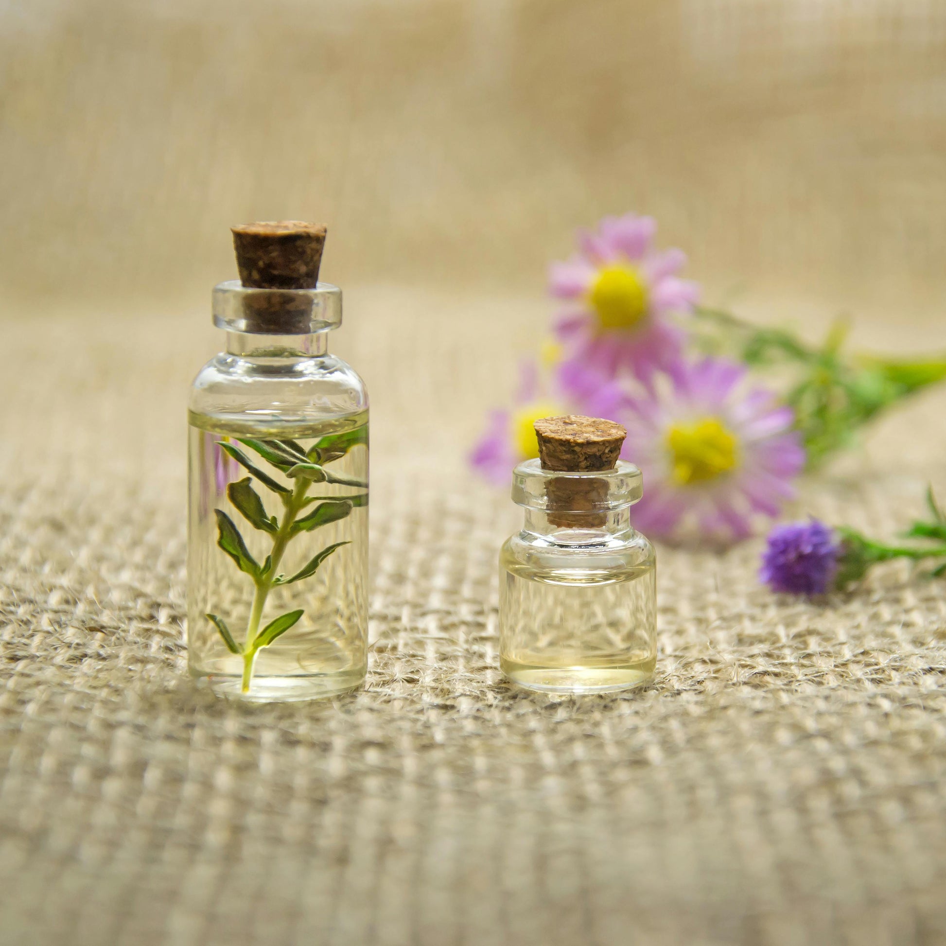 essential oil oracle