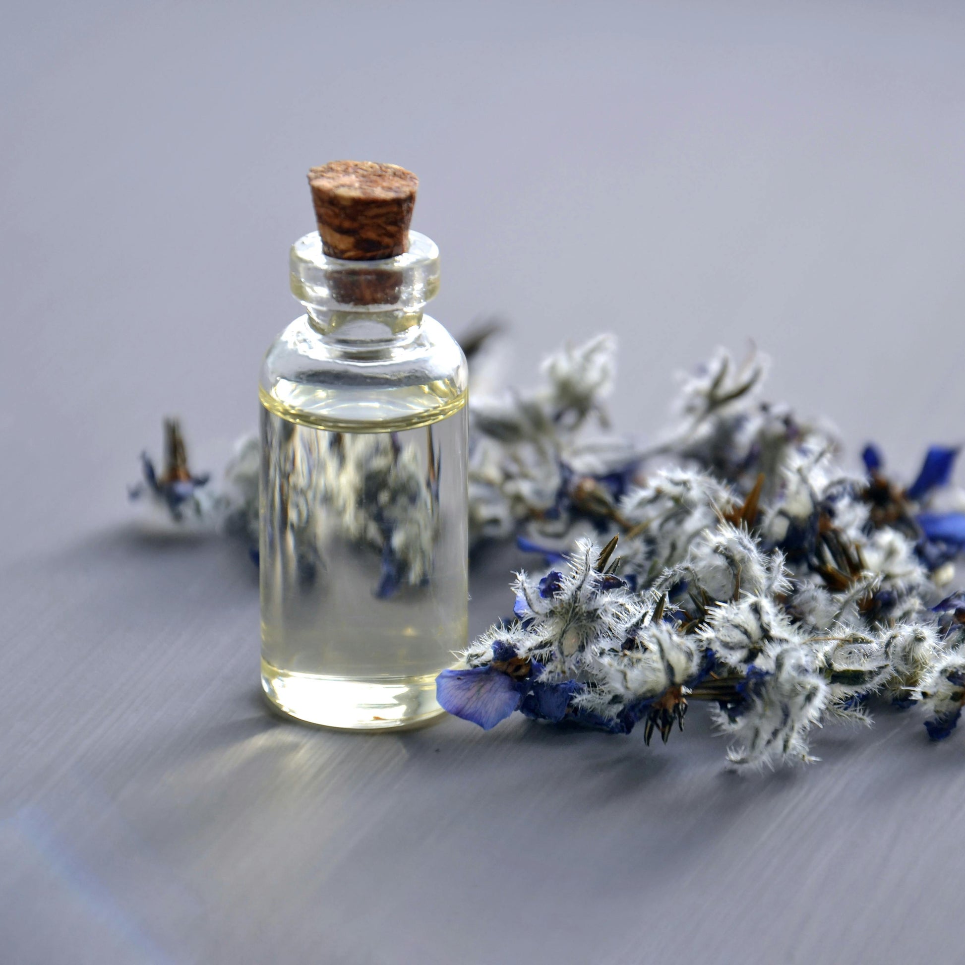 essential oil oracle