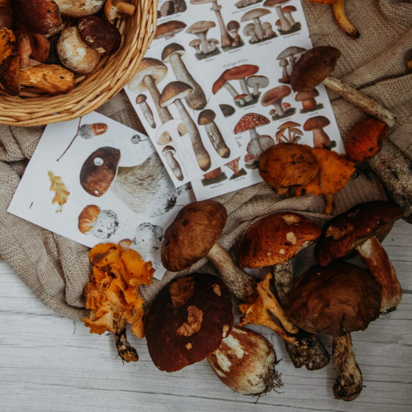 mushrooms