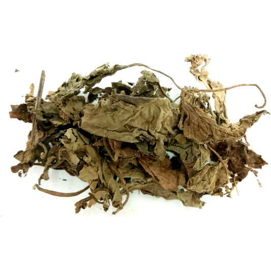 Patchouli leaf sacred herb for magick