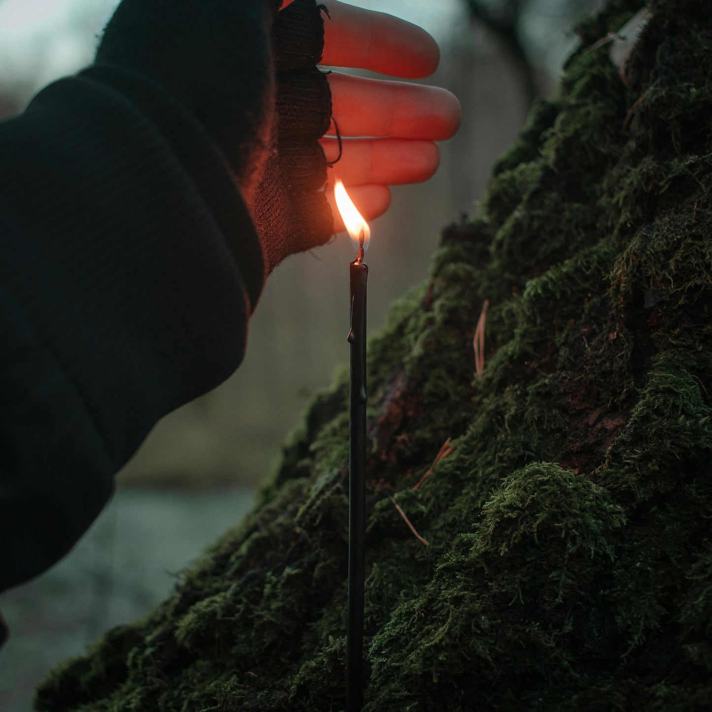 Hand holding a lit black spell candle against a dark, forested background