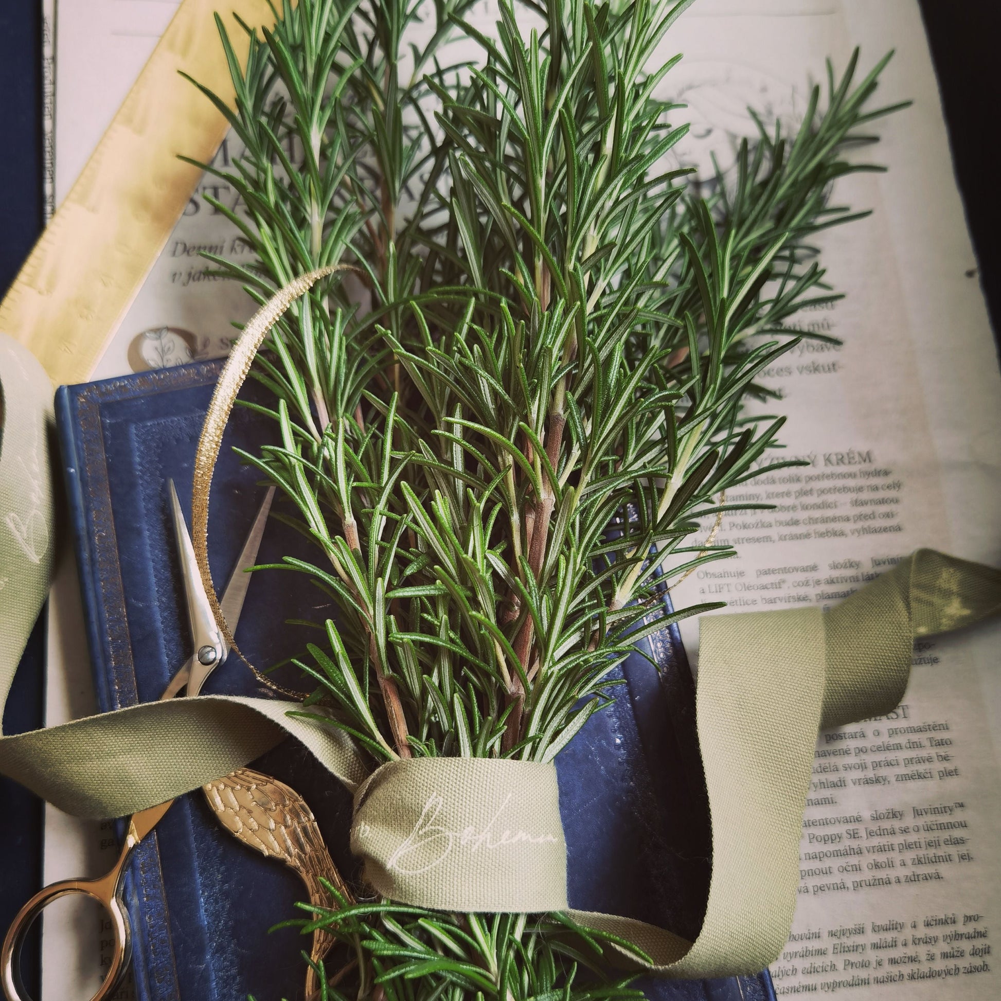 A bundle of fresh rosemary sprigs tied with a beige ribbon, arranged on top of an open book with gold scissors and a blue leather folio.